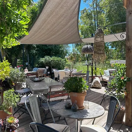 Provencale Saint-Raphael (Var)