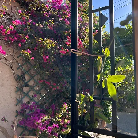 Hotel Provencale 2*