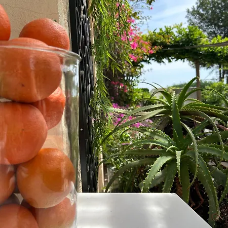 Provencale Hotel 2*