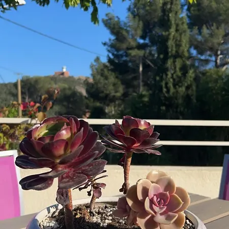 Hotel Provencale Saint-Raphael (Var)