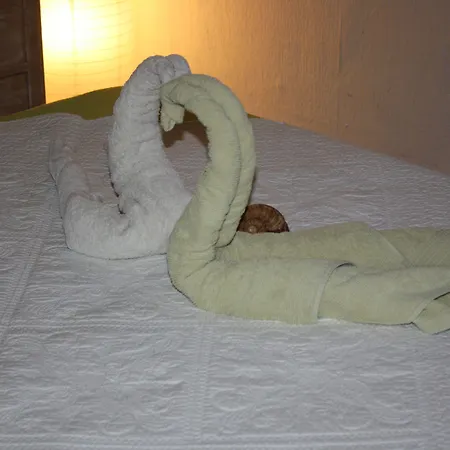 Le Clos Du Dramont Saint-Raphaël