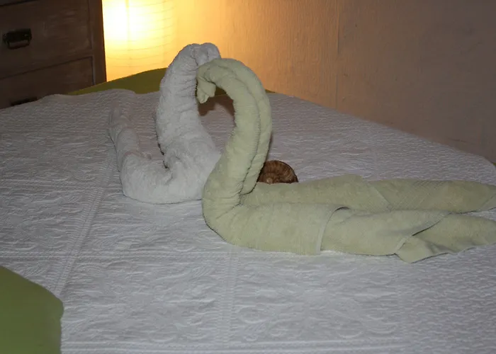 Le Clos Du Dramont Saint-Raphaël